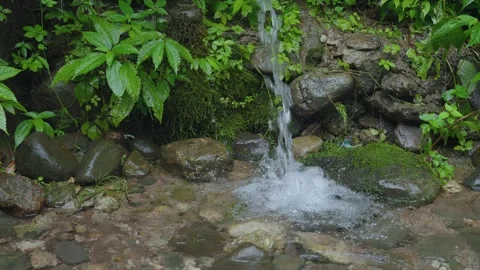 ASMR Relaxing Mountain Stream Flow Water Meditation 120fps 库存影片 336849432