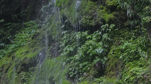 ASMR Relaxing Mountain Stream Flow Water Meditation 120fps 库存影片 336849435