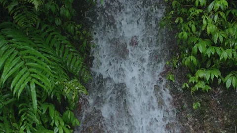ASMR Relaxing Mountain Stream Flow Water Meditation 120fps Stock Footage 336849449