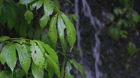 ASMR Relaxing Mountain Stream Flow Water Meditation 120fps 库存影片 336849576