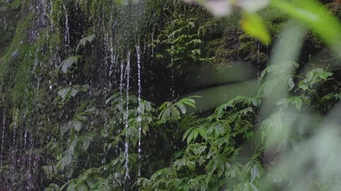 ASMR Relaxing Mountain Stream Flow Water Meditation 120fps Vidéo 336849639