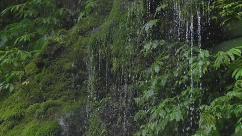 ASMR Relaxing Mountain Stream Flow Water Meditation 120fps Vidéo 336849668