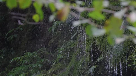 ASMR Relaxing Mountain Stream Flow Water Meditation 120fps 库存影片 336849685