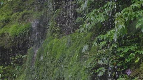 ASMR Relaxing Mountain Stream Flow Water Meditation 120fps 動画素材 336849786