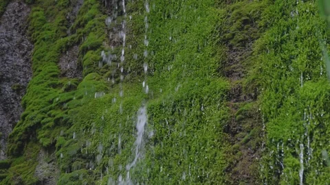 ASMR Relaxing Mountain Stream Flow Water Meditation 120fps Stock Footage 336849827