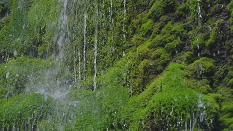 ASMR Relaxing Mountain Stream Flow Water Meditation 120fps Vidéo 336849851