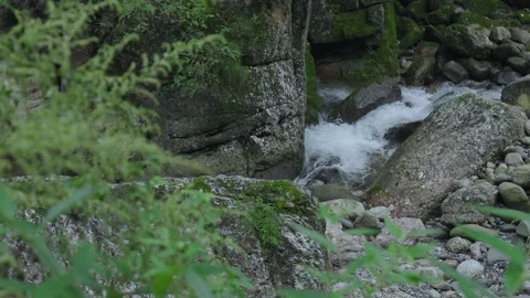 ASMR Relaxing Mountain Stream Flow Water Meditation 120fps Stock Footage 336849981