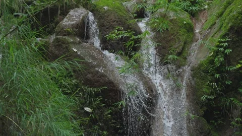 ASMR Relaxing Mountain Stream Flow Water Meditation 120fps Vidéo 336850068