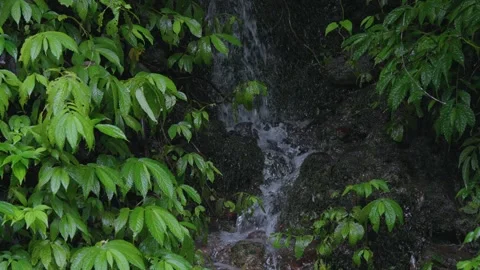 ASMR Relaxing Mountain Stream Flow Water Meditation 120fps Stock Footage 336850162