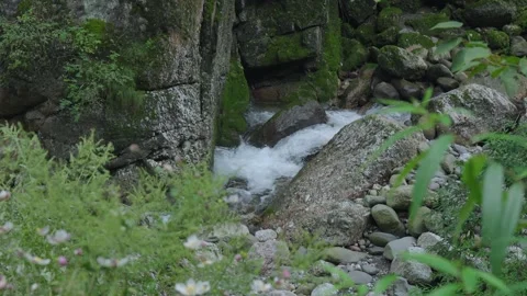 ASMR Relaxing Mountain Stream Flow Water Meditation 120fps Vidéo 336850168