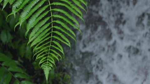 ASMR Relaxing Mountain Stream Flow Water Meditation 120fps 库存影片 336850241