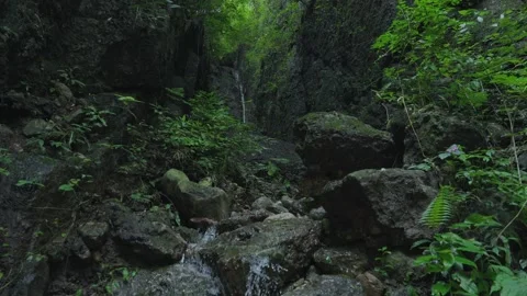 ASMR Relaxing Mountain Stream Flow Water Meditation 120fps Vidéo 336850309