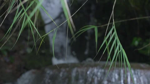 ASMR Relaxing Mountain Stream Flow Water Meditation 120fps Video stock 336850362