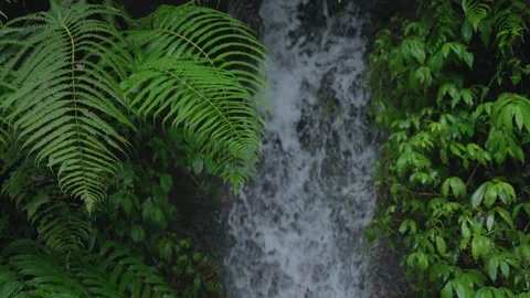 ASMR Relaxing Mountain Stream Flow Water Meditation 120fps Stock Footage 336850400