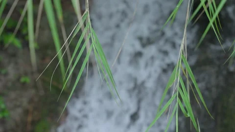 ASMR Relaxing Mountain Stream Flow Water Meditation 120fps 库存影片 336850405