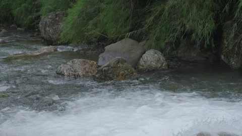 ASMR Relaxing Mountain Stream Flow Water Meditation 120fps Stock Footage 336850418