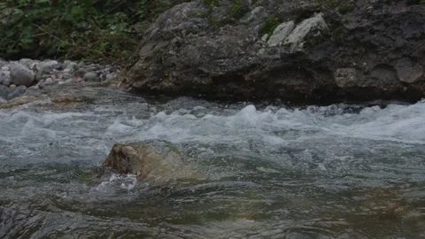 ASMR Relaxing Mountain Stream Flow Water Meditation 120fps Stock Footage 336850653