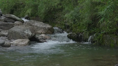 ASMR Relaxing Mountain Stream Flow Water Meditation 120fps Vidéo 336850661