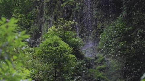 ASMR Relaxing Mountain Stream Flow Water Meditation 120fps 库存影片 336850734