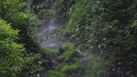 ASMR Relaxing Mountain Stream Flow Water Meditation 120fps 動画素材 336850739