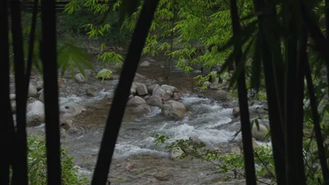 ASMR Relaxing Mountain Stream Flow Water Meditation 120fps 库存影片 336850865