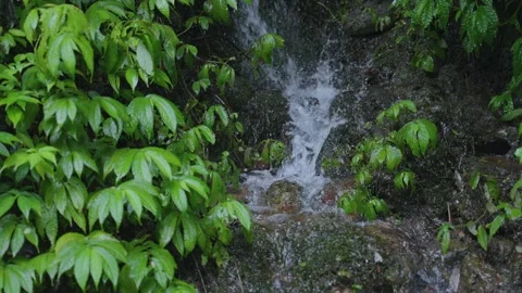 ASMR Relaxing Mountain Stream Flow Water Meditation 120fps 库存影片 336850868