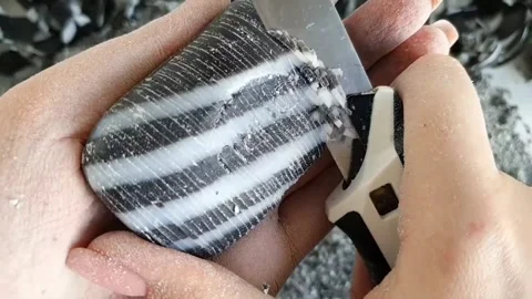 Asmr Soap Cutting Cracking Soap Pinch Soap Satisfying Relaxing Video Stock Footage 311558632