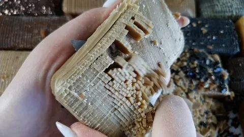 Asmr Soap Cutting Cracking Soap Pinch Soap Satisfying Relaxing Video Stock Footage 311559112