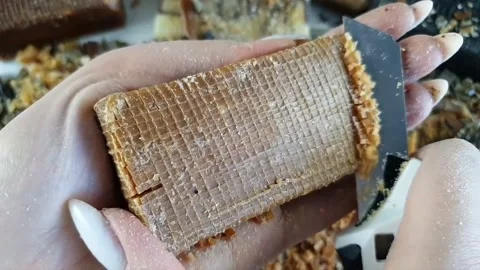 Asmr Soap Cutting Cracking Soap Pinch Soap Satisfying Relaxing Video Stock Footage 311559115