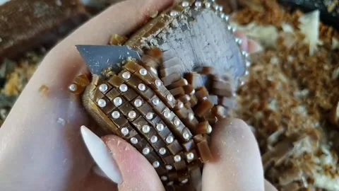 Asmr Soap Cutting Cracking Soap Pinch Soap Satisfying Relaxing Video Stock Footage 311559137