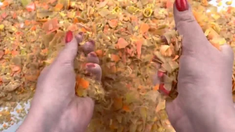 Asmr Soap Cutting Cracking Soap Pinch Soap Satisfying Relaxing Video Stock Footage 311566086