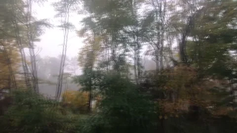 ASMR/Train Ride on the Capital Limited Stock Footage 255813168