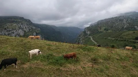 Asón Valley Stock Photos