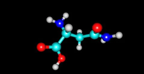 Asparagine molecule isolated on black Stock Illustration
