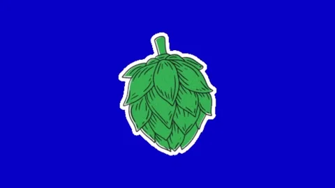 Asparagus on blue screen background Vídeos de archivo 329140122