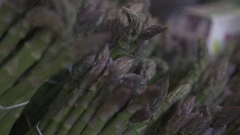 Asparagus bunches Stock Footage 82255079