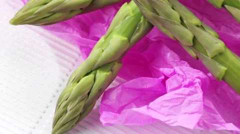  ASPARAGUS IN CLOSE UP MACRO TRACKING SHOT OVERHEAD Vidéo 62232556