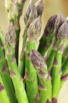 Asparagus closeup Stock Photos