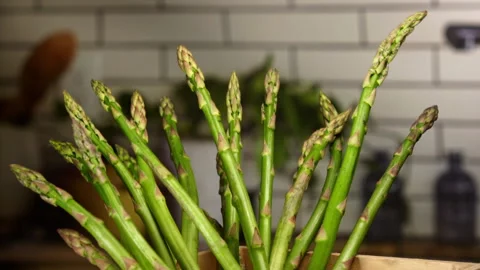 Asparagus fall into a basket Stock Footage 156857279