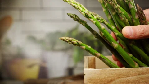Asparagus fall into a basket in slow motion Stock Footage 156858878