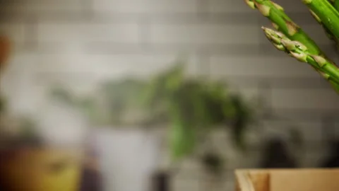 Asparagus fall into a basket in slow motion Stock Footage 158307756
