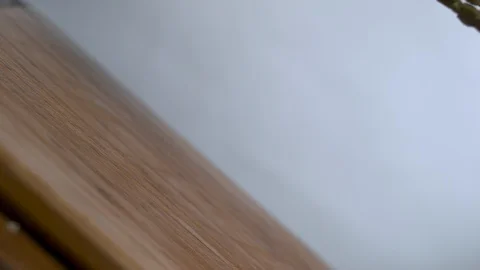 Asparagus falling in slow motion onto cutting board Stock Footage 100008505