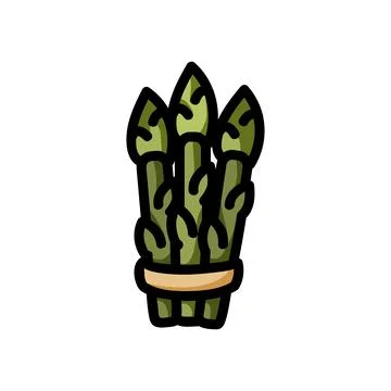 Asparagus flat outlined icon. Vector vegetable logo isolated on white backgro Stock Illustration