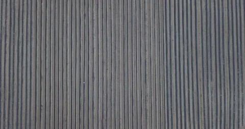 Asparagus Video stock 105420379