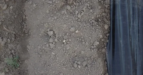 Asparagus Video stock 105420820