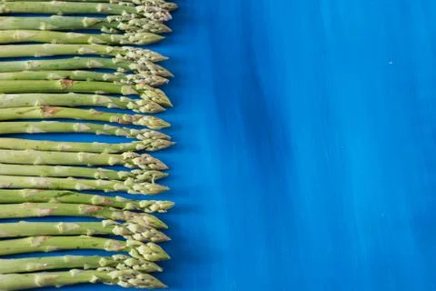 Asparagus green on a blue background pattern, top view Stock Photos