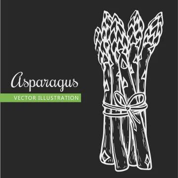 Asparagus Stock Illustration