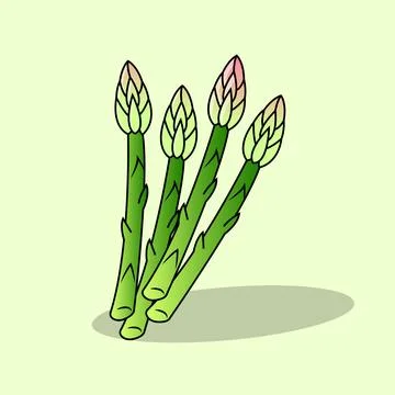 Asparagus Stock Illustration