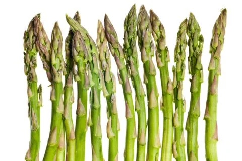 Asparagus isolated Stock Photos