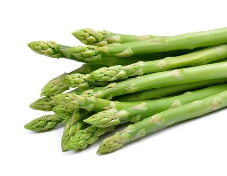 Asparagus isolated on white background Фото